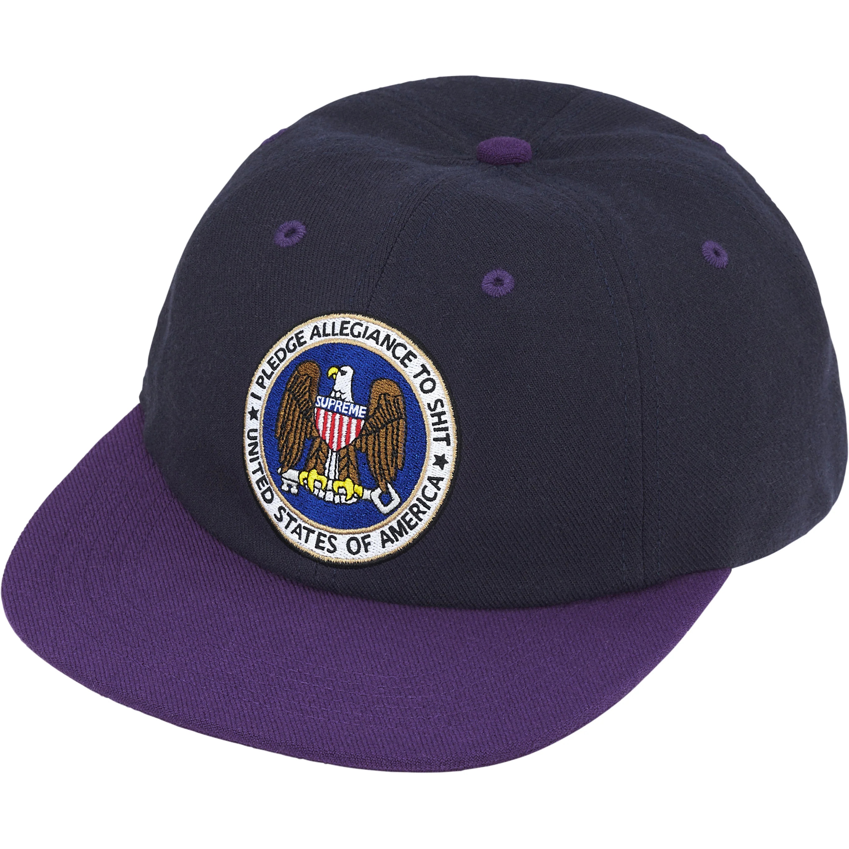 Pledge Allegiance 6-Panel view 10